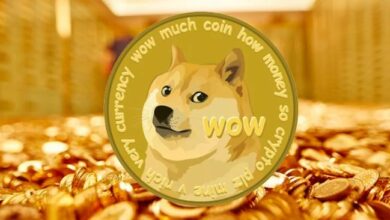 دوجكوين (DOGE) يتراجع: هل هو توقف قبل انطلاقة جديدة للعملات الميم؟ اكتشف المزيد الآن!