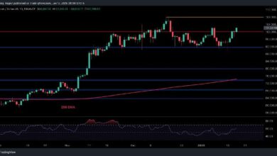 تحليل سعر البيتكوين: هل يستعد BTC للوصول إلى أعلى مستوى تاريخي جديد إذا صمد الدعم الرئيسي؟
