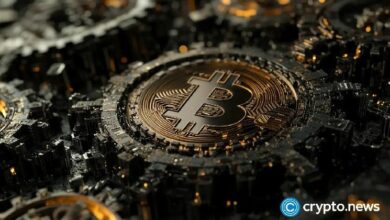 صناديق البيتكوين المتداولة تجذب الاهتمام مجددًا مع تجاوز BTC حاجز 102 ألف دولار قبل تنصيب ترامب: اكتشف المزيد!