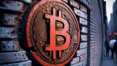 بيتكوين تفوقت على "كل فئة أصول" في 2024 مع انخفاض الارتباطات في الربع الرابع: تعرف على التفاصيل من NYDIG