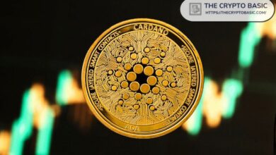 متداول أسطوري يؤكد استعداد كاردانو لسباق صعود كبير: هل يمكن أن يصل إلى قيمة سوقية 500 مليار دولار؟ اكتشف الآن!