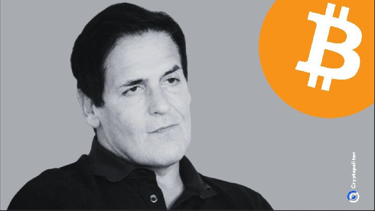 مارك كوبان يقترح نماذج تسجيل للميم كوينز: تعرف على التفاصيل الآن!