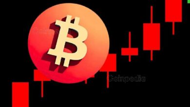 كيف يمكن لرئاسة دونالد ترامب أن تحفّز ارتفاع سعر البيتكوين! اكتشف الآن!