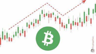 ارتفاع البيتكوين إلى 105 آلاف دولار - هل التوكن الخاص بترامب وراء هذا الارتفاع؟ اكتشف المزيد الآن!