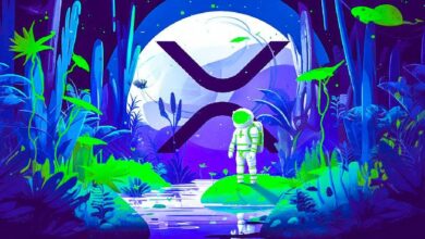محلل يؤكد أن XRP يبدو "ممتازاً" ويتوقع موجة ارتفاع جديدة للعملة الرقمية ذات القيمة السوقية الكبيرة—اكتشف التفاصيل!