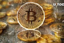 حقبة البيتكوين المؤسسية تصل إلى إنجاز تاريخي بـ 3,000,000 BTC - اكتشف التفاصيل!