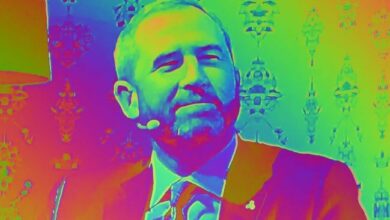 تداولات XRP تصل إلى 400 مليون دولار في يناير على DEX - تصريح مثير من براد جارلينجهاوس من ريبل!