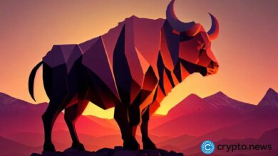 هل تريد معرفة سبب ارتفاع سعر مورفو إلى أعلى مستوى له؟ اكتشف الآن!