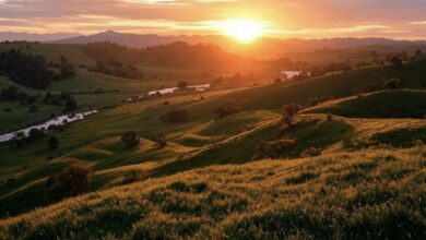 كاليفورنيا تسعى لاعتماد البيتكوين - اكتشف المزيد الآن!