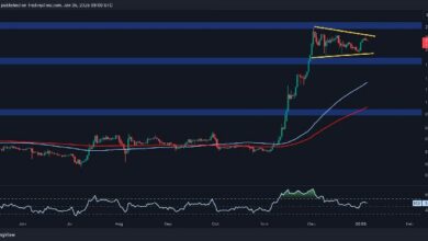 تحليل سعر ريبل: ماذا ينتظر XRP بعد ارتفاع أسبوعي بنسبة 8%؟ اكتشف الآن!