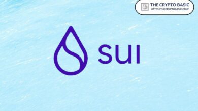 تحليل SUI: هل يمكن لانحراف مؤشر RSI أن يحفز حركة ارتداد؟ تعرف على التفاصيل!