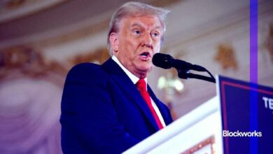 مستقبل سولانا في ظل رئاسة ترامب: اكتشف ما سيحدث!