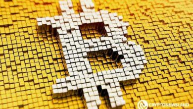 اسرار دورات سوق البيتكوين: اكتشف الأنماط المتوقعة في توجهات الأسعار