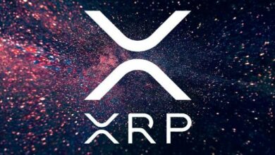 ارتفاع إيداعات الحيتان لـ XRP في منصة بينانس: هل يستعد كبار الحائزين لجني الأرباح؟ اكتشف التفاصيل الآن!