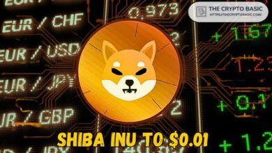 شيبا إينو إلى $0.01؟ فريق SHIB يؤكد الإمكانية، لكن كل شيء يحتاج إلى وقت - اكتشف التفاصيل!