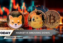 تحليل حاسم لانخفاض شيبا إينو (SHIB) يثير التساؤلات، دوجكوين (DOGE) على دعم قوي، وانتعاش بيتكوين (BTC) ليس مستحيلاً – اكتشف المزيد!