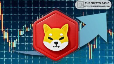 كوساما قائد شيبا إينو يعتقد أن شيب يمكنه بلوغ قيمة 1 تريليون دولار – المفاجأة للمتشككين!