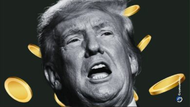 عملة TRUMP الميم ترفع سولانا بنسبة 16%، أكبر مكاسبها هذا العام - اكتشف التفاصيل الكاملة!