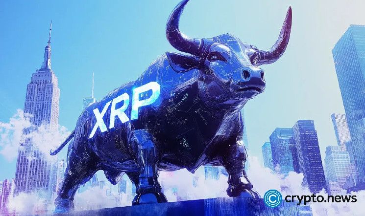 4 أسباب قد تدفع سعر XRP للارتفاع قريبًا - اكتشف الآن!