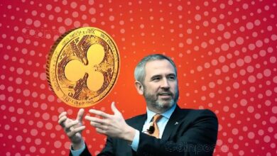 XRP مقابل بيتكوين: هل تسعى ريبل للضغط ضد الاحتياطي الاستراتيجي للبيتكوين في الولايات المتحدة؟ تصريح المدير التنفيذي