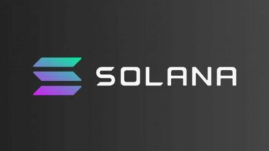 سولانا (SOL) على حافة الهاوية: هل الانخفاض الحاد قادم؟ اكتشف الآن!