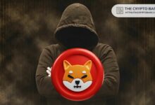 قائد شيبا إينو يرفض بيع SHIB، ويؤكد استمرار قوة SHIB، اكتشف الأسباب!