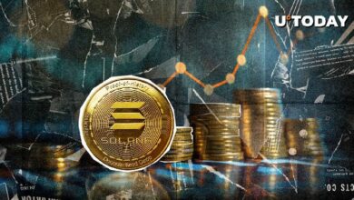 سولانا (SOL) تستعد للانتعاش: إليك مستويات الأسعار التي يجب مراقبتها