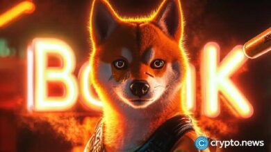 هل يمكن لسعر Bonk أن يرتفع 10 أضعاف قبل قرار الموافقة على صندوق الاستثمار؟ اكتشف الآن!