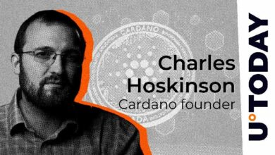 هوسكينسون يكشف عن المواضيع الرئيسية لكاردانو - اكتشف التفاصيل الآن!
