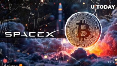 تفاصيل: SpaceX تمتلك الآن 700 مليون دولار من بيتكوين (BTC) - اكتشف المزيد