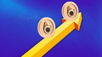 انطلاقة لعملة POPCAT! عملة الميم تتطلع إلى ارتفاع بنسبة 25% لـ $1.10 - اكتشف الآن!