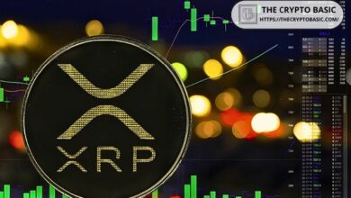 خبير: شراء XRP بأقل من 5 دولارات صفقة رابحة!
