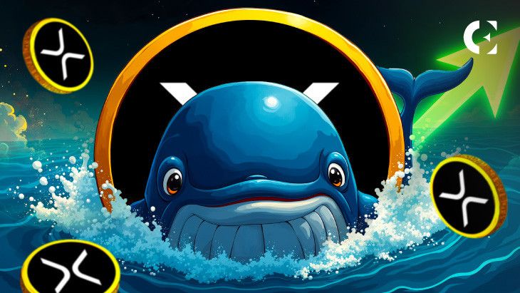 تعافي سعر XRP بعد انخفاض الاثنين - فرصة الشراء الكبيرة للحيتان!