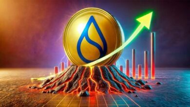 تحليل SUI: انعكاس السعر يشير إلى عودة محتملة لسعر 5 دولارات – اكتشف التفاصيل الآن!