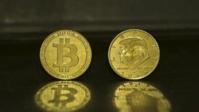 عاجل: اكتشاف مليونيرات البيتكوين - استحواذ عالمي مالي لترامب على ملايين العملات الرقمية!