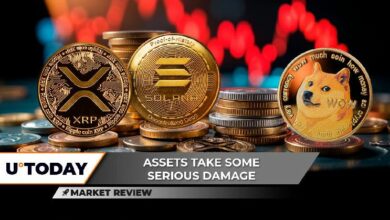 هل يصل سعر XRP إلى 3 دولارات مرة أخرى؟ سولانا (SOL) في خطر فقدان 200 دولار، دوجكوين (DOGE) تخسر تقريباً كل مكاسب 250٪ - اكتشف التفاصيل!