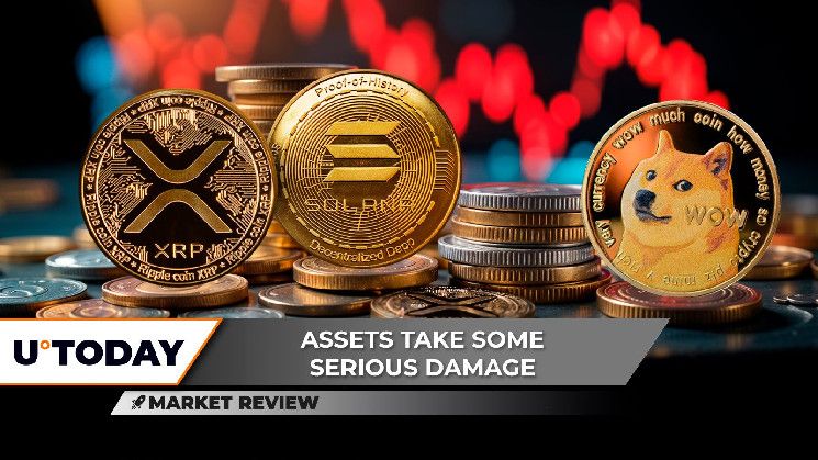 هل يصل سعر XRP إلى 3 دولارات مرة أخرى؟ سولانا (SOL) في خطر فقدان 200 دولار، دوجكوين (DOGE) تخسر تقريباً كل مكاسب 250٪ - اكتشف التفاصيل!