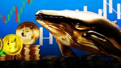 الحيتان تراهن بكثافة على عملتين ميم – هل هناك موجة ارتفاع قادمة؟ اقرأ الآن!