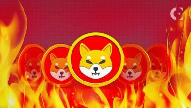 حماس حرق شيبا إينو: هل يدفع SHIB للوصول إلى $0.01؟ اكتشف الآن!