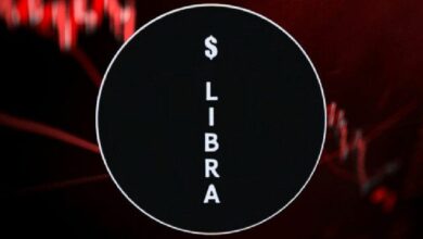 بعض المحافظ تستمر في تداول LIBRA رغم خسائر بقيمة 251 مليون دولار: نانسن - اكتشف المزيد الآن!