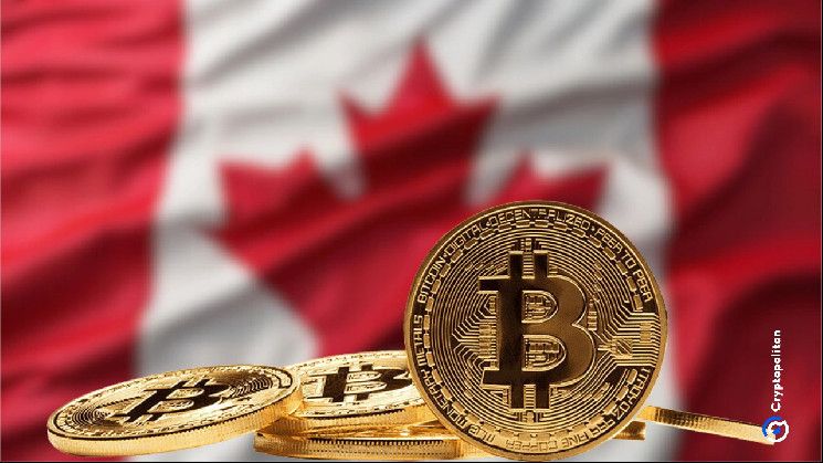 إرشادات جديدة من OSFI للبنوك الكندية لإدارة التعرض للعملات الرقمية: اكتشف التفاصيل الآن!