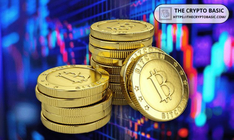 135 محفظة بيتكوين جديدة تحتفظ بأكثر من 100 BTC تظهر مع قيام التجار بتقليص خسائرهم: اكتشف ما يعنيه ذلك