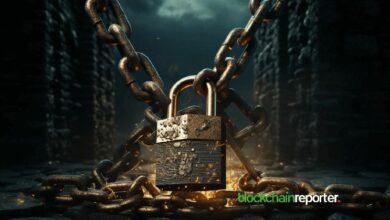 افضل إفراجات فبراير: سولف بروتوكول يقود موجة فتح التوكنات- اكتشف التفاصيل الآن