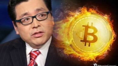 الخبير الصاعد توم لي يتحدث بعد الانخفاض الأخير: "فبراير قد يكون صعبًا! اكتشف إلى أي مستويات يمكن أن يهبط البيتكوين قبل أن يرتفع!"