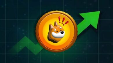 بونك سولانا يعيد مجمل الأرباح لعام 2024 – اكتشف لماذا يُعتبر استثماراً جيداً الآن!