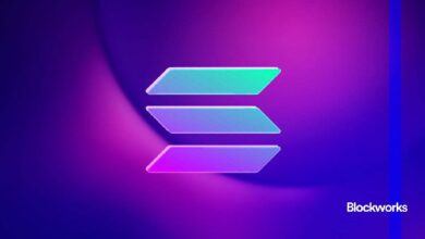 سولانا: دليل المبتدئين لفهم الشبكة والبدء الآن