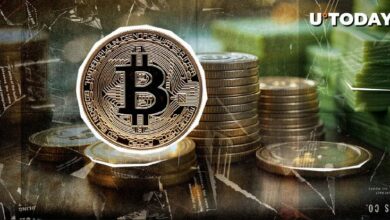 اقتراح احتياطي بيتكوين ينال جلسة استماع عامة في مجلس شيوخ تكساس - اكتشف التفاصيل!