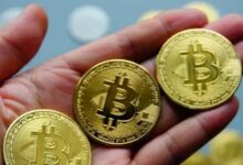 المليونير الشهير راؤول بال يكشف عن ثلاث سيناريوهات لبيتكوين حتى نهاية عام 2025 - اكتشف الآن!