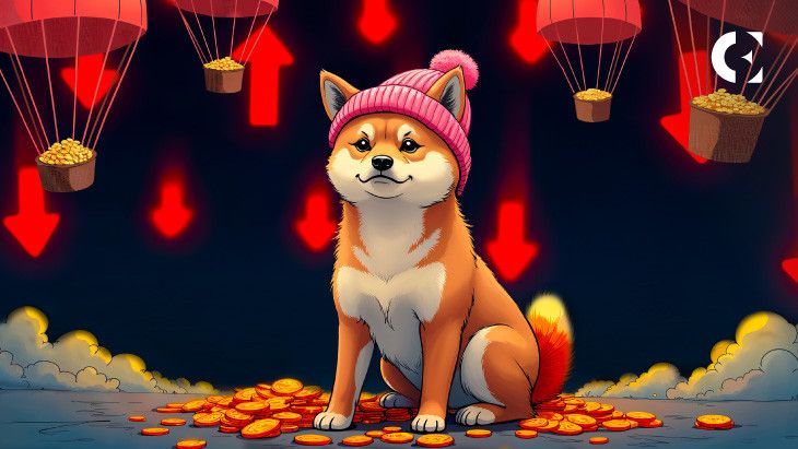 قفزة الدومينات .wif: هل تستطيع إنعاش قيمة WIF المتراجعة؟