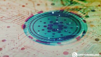 قد تكون كاردانو جاهزة لارتفاع كبير - هل حان وقت الشراء؟